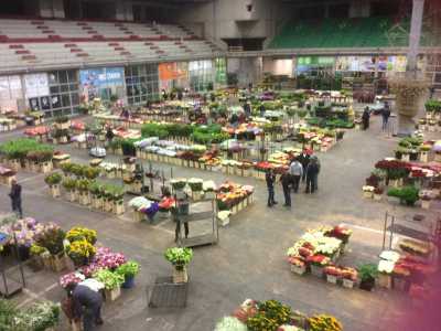 Una panoramica del mercato dall'alto, poco prima dell'apertura